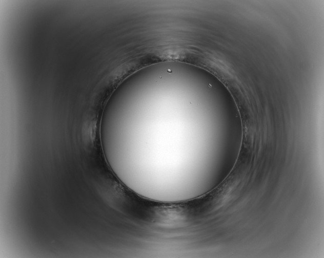X0000088680652200706071427