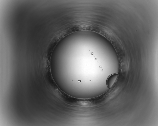 X0000088680654200706071427