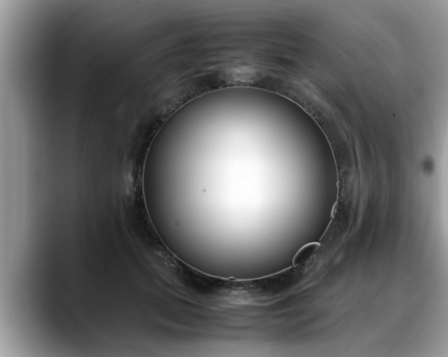 X0000088680655200706071427