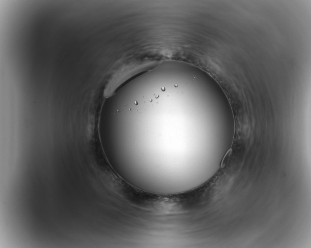 X0000088680656200706071427