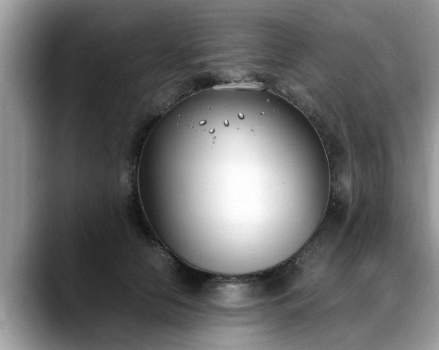 X0000088680658200706071427
