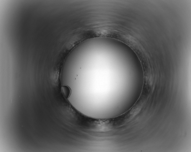 X0000088680660200706071427