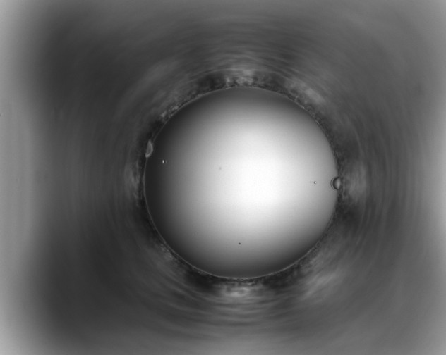 X0000088680661200706071427