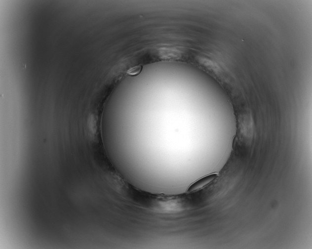 X0000088680667200706071427