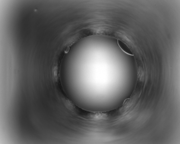 X0000088680670200706071427