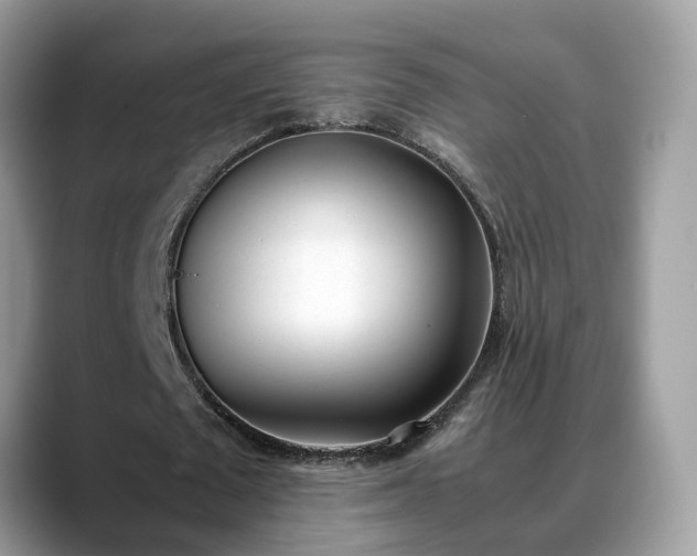 X0000088680673200706071427