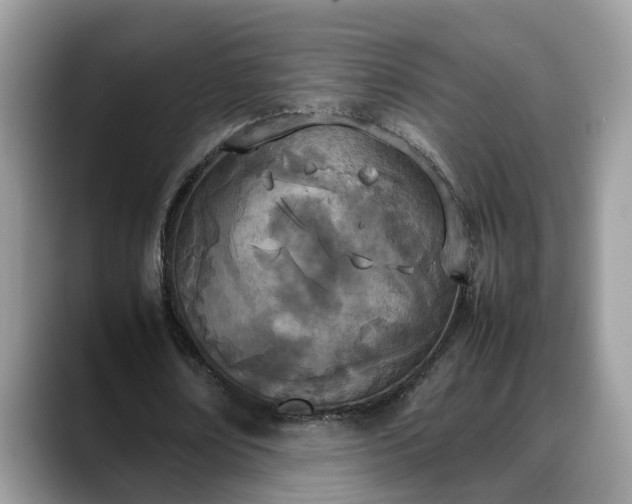 X0000088680674200706071427
