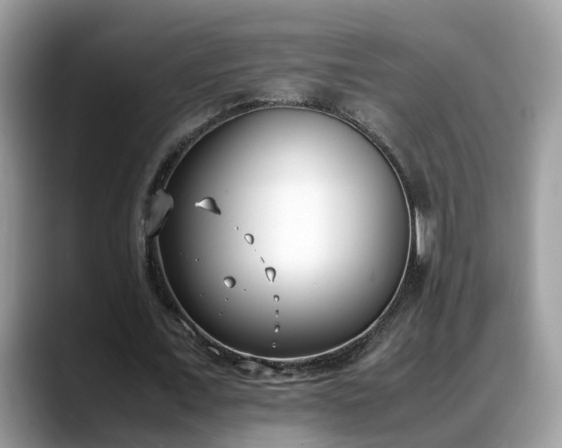 X0000088680675200706071427