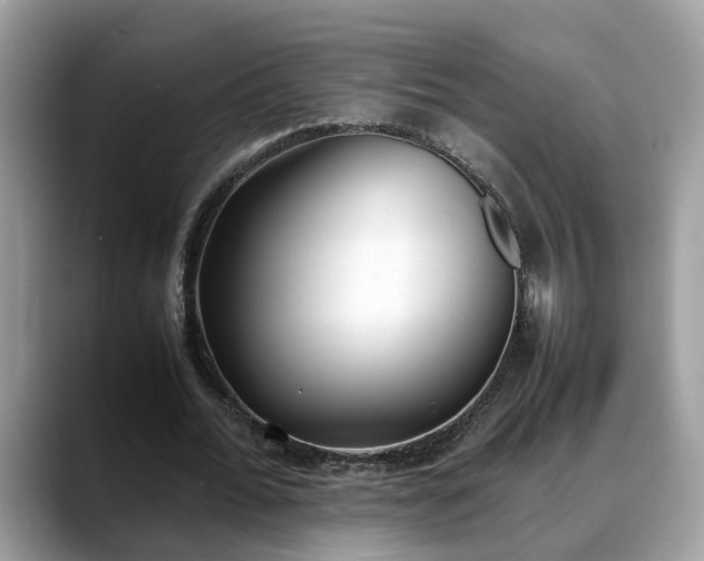 X0000088680676200706071427