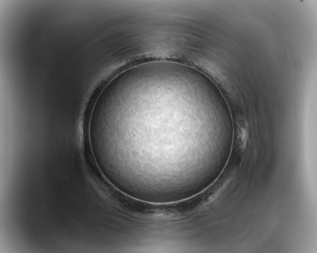 X0000088680678200706071427