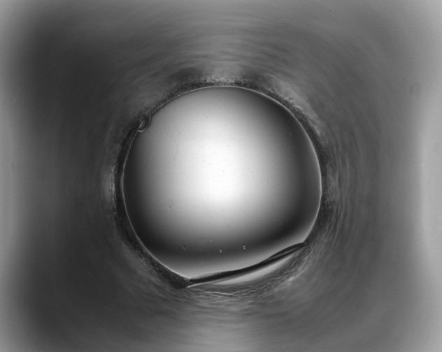X0000088680681200706071426
