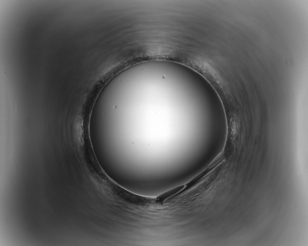 X0000088680684200706071426