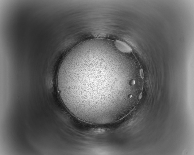 X0000088680687200706071426