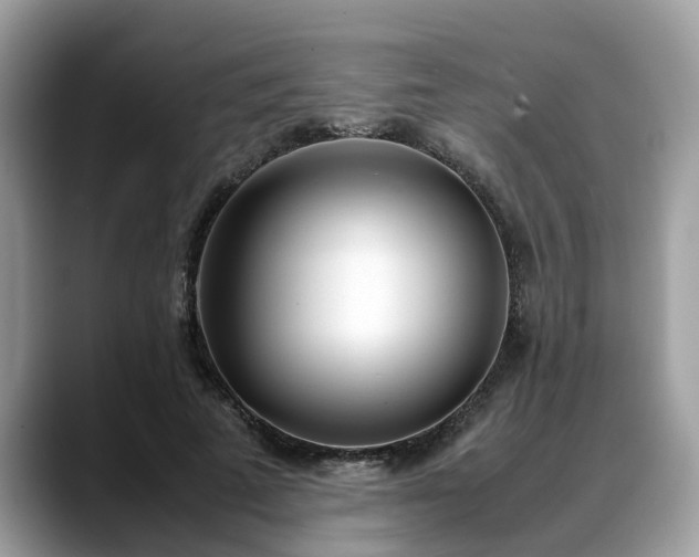 X0000088680689200706071426