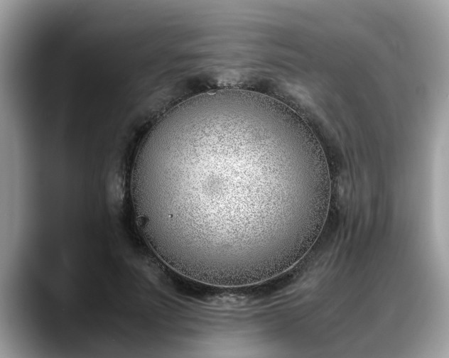 X0000088680691200706071426