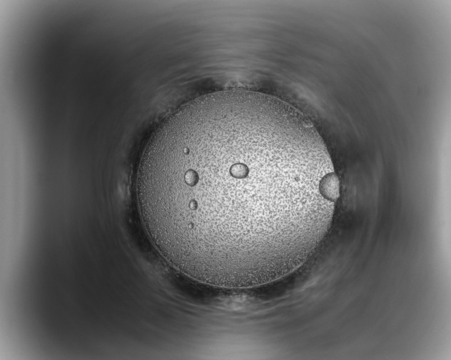 X0000088680695200706071426