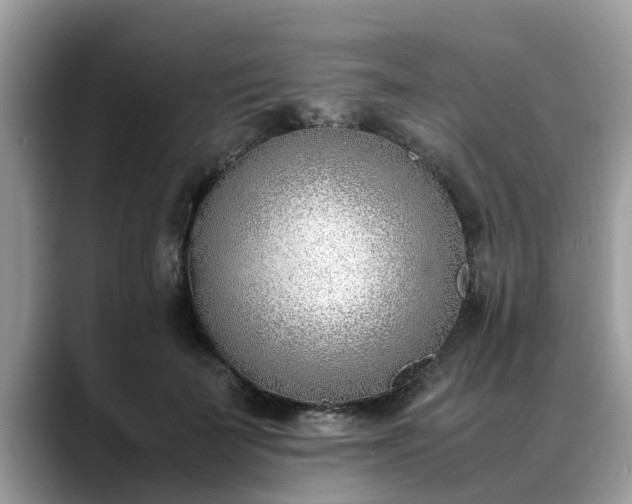 X0000088680699200706071426
