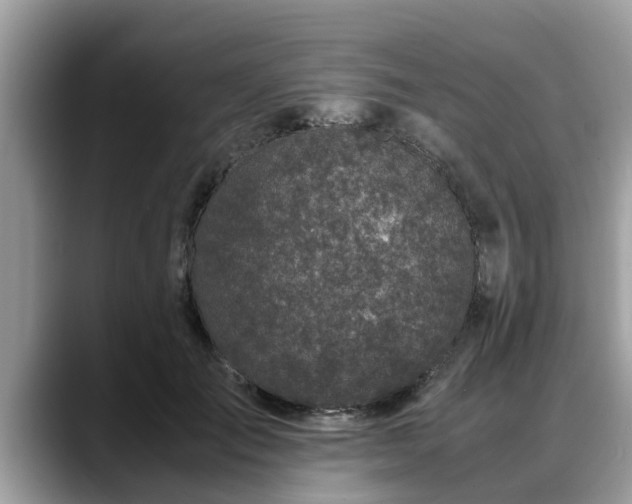X0000088680701200706071426