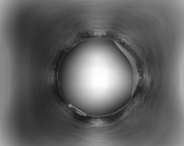 X0000088680704200706071426
