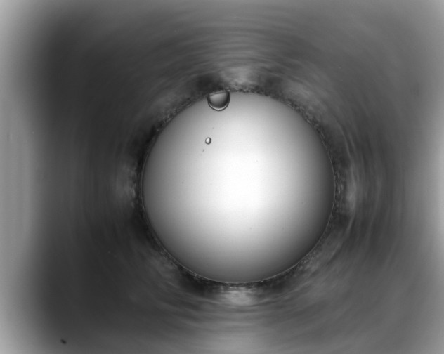 X0000088680710200706071426