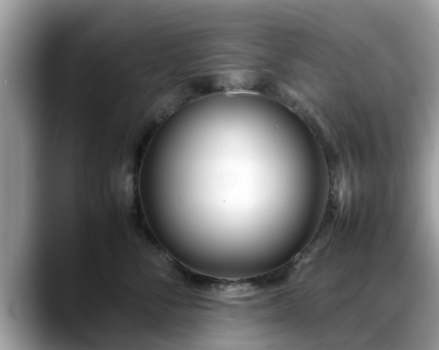 X0000088680716200706071426