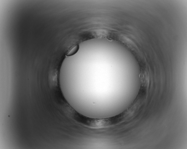 X0000088680717200706071426