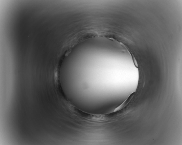 X0000088680720200706071426