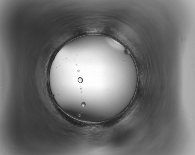 X0000088680721200706071425