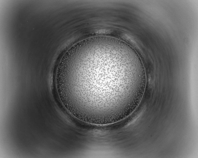 X0000088680725200706071425