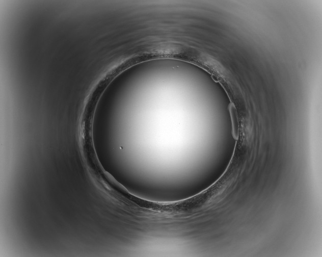 X0000088680726200706071425