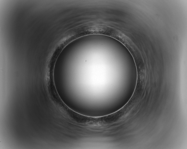 X0000088680727200706071425