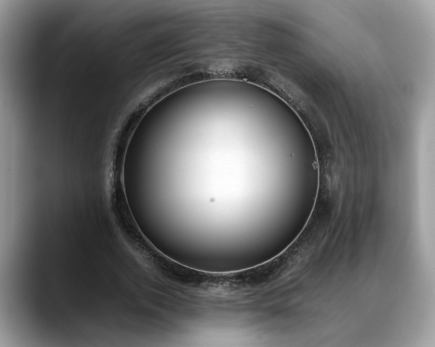 X0000088680728200706071425