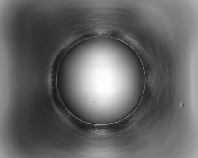 X0000088680730200706071425