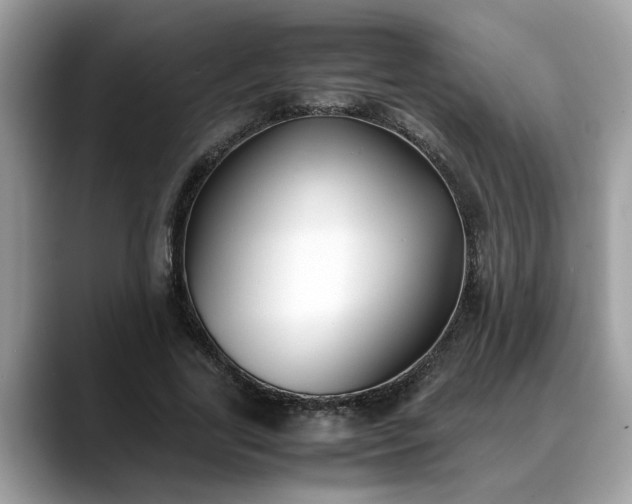 X0000088680731200706071425