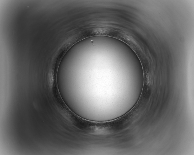 X0000088680733200706071426