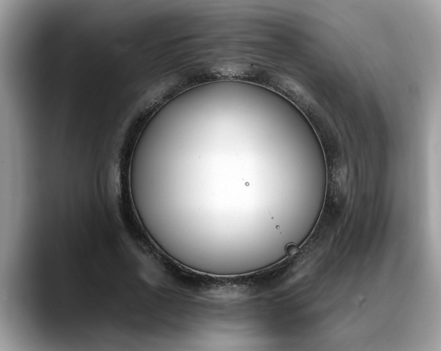 X0000088680734200706071426
