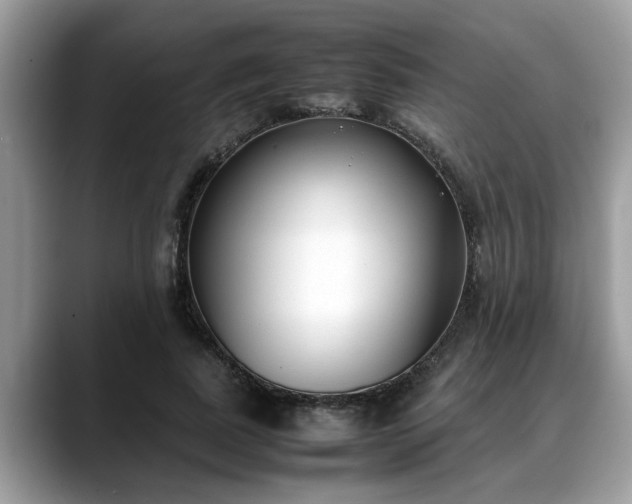 X0000088680739200706071426