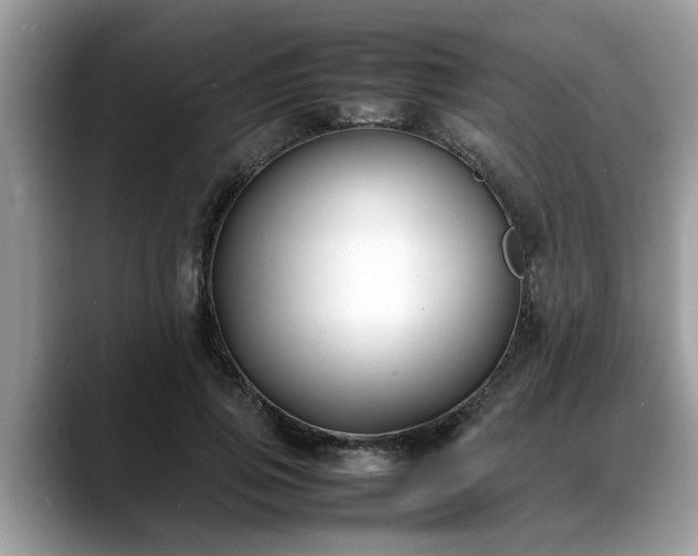 X0000088680741200706071426
