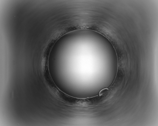 X0000088680742200706071426