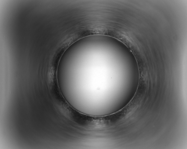 X0000088680744200706071426