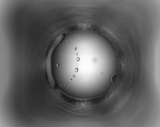 X0000088680745200706071426