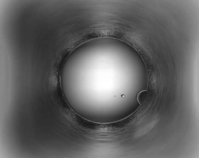 X0000088680746200706071426