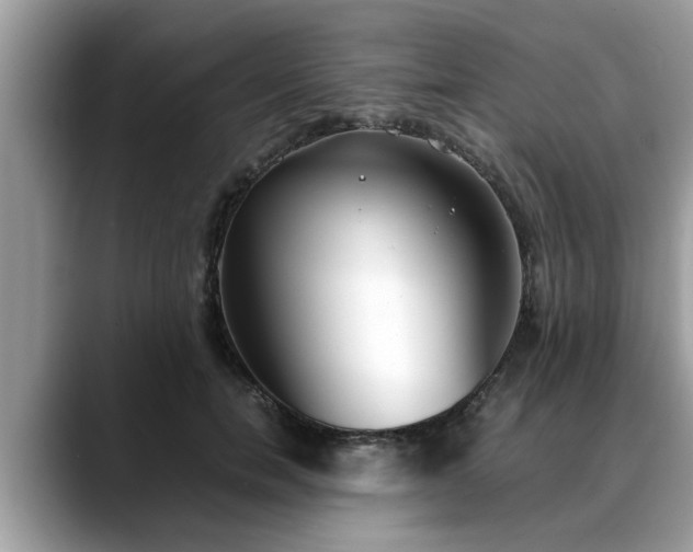 X0000088680750200706071426