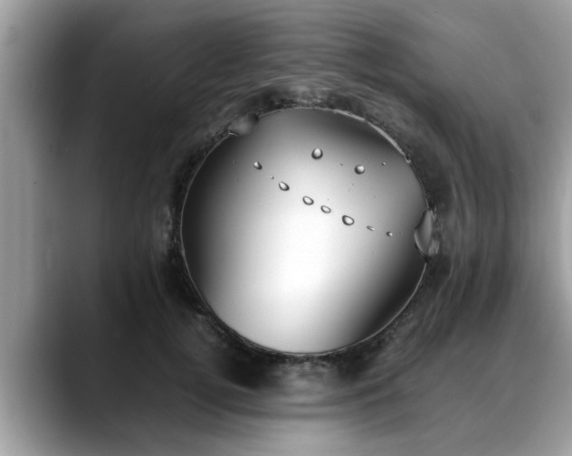 X0000088680752200706071426