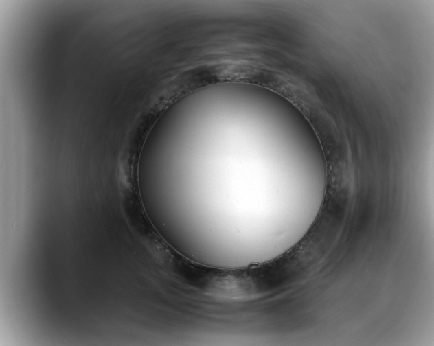 X0000088680755200706071426