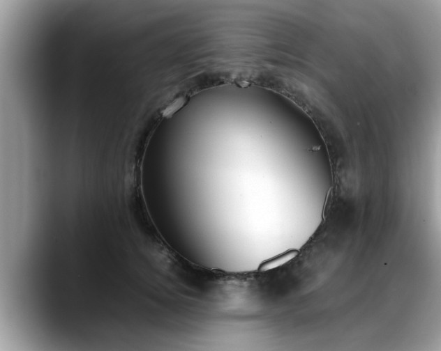 X0000088680756200706071426