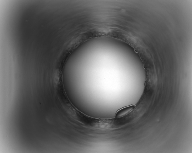 X0000088680758200706071426