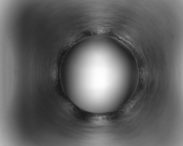 X0000088680760200706071426