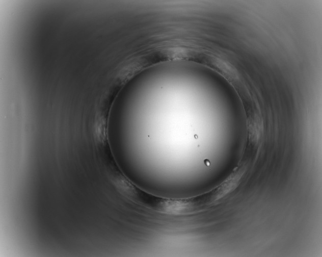 X0000088680766200706071426