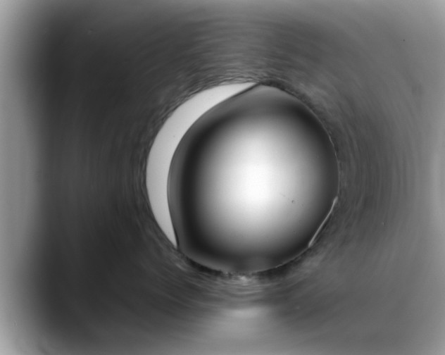 X0000088680768200706071426